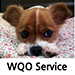WQO Service Support Site!